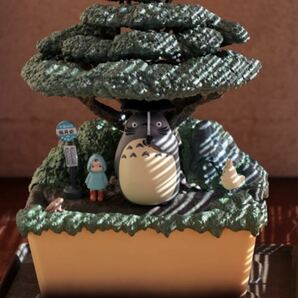 となりのトトロ ウォーターガーデン BONSAI 笠宿　ジブリ　Studio Ghibli My Neighbor Totoro
