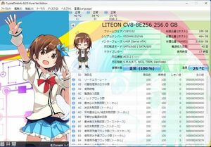 (BIOS確認済み)【LITE-ON】 LiteOn CV8 CV8-8E256 M.2 2280 256GB No.2