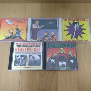 THE BOLLWEEVILS DESCENDENTS ALL BAD RELIGION QUEERS EMO RAMONES BEACH BOYS SURF POP POWER PUNK