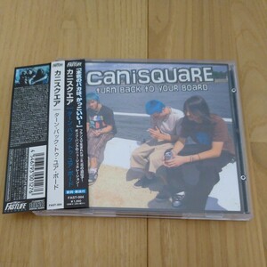 CANISQUARE 高速メロディック SKATE ADHESIVE BELVEDERE NOFX FAT WRECK BELLS ON VENEREA SATANIC SURFERS STRUNG OUT MILLENCOLIN