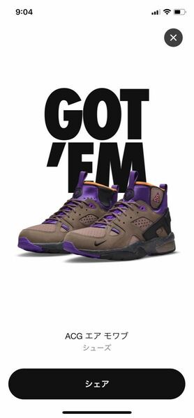 Nike ACG Air Mowabb "Trail End Brown"