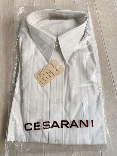 未使用 CASARANI メンズワイシャツ カジュアルシャツ アメリカンクラッシックサルバトーレセザラニドレスシャツ