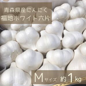 ★Mサイズ★ 2023年産　青森県田子町産にんにく1㎏ 農家直送