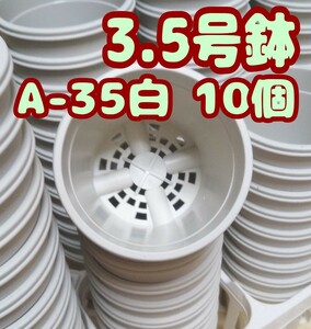 ◆送料無料◆プラ鉢【A-35】10個 スリット鉢 丸 プレステラ 多肉植物