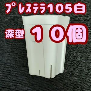 ◆送料無料◆プレステラ深鉢105 白 10個 プラ鉢 スリット鉢 多肉植物