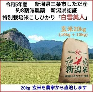 令和5年産　減農薬　新潟コシヒカリ玄米10kg+ミルキークイーン玄米10kg 新潟県三条市旧しただ村産　こしひかりとミルキー共に100%本物