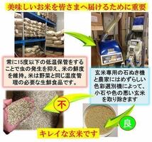 令和5年産新米　減農薬　新潟こしひかり白米真空パック5kg　新潟県三条市旧しただ村産　新潟県認証　特別栽培米100% 白雪美人_画像3