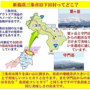 新潟こがねもち100%を使ったもち粉900g 令和5年産 新潟県三条市旧しただ村産 こがねもち100%使用 グルテンフリー  送料無料の画像3