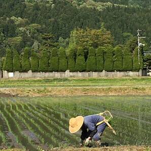 新潟こがねもち100%を使ったもち粉900g 令和5年産 新潟県三条市旧しただ村産 こがねもち100%使用 グルテンフリー  送料無料の画像9