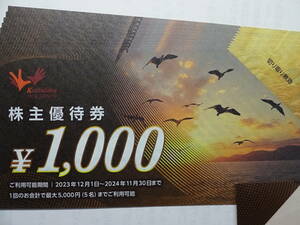 〒無料◇コシダカホールディングス株主優待券10000円分　2024.11.30まで