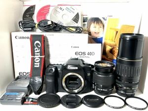 未使用級ショット数 1,710回 超美品 キャノン Canon EOS 40D Wレンズ セット 手ぶれ補正標準レンズ&300mm超望レンズ 4GBCFカード付き 