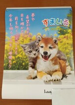 送料510円 2024年 可愛い 犬 猫 すまいる 壁掛け カレンダー 令和6年 六曜入り 大安 暦 未使用 ドッグ キャット 柴犬 和む言葉入り 動物_画像1