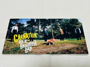 CARNATION★カーネーション★it's a beautiful day★PARTY★CODA716★8cmCD★CDシングル★直枝政太郎★大田譲★矢部浩志★棚谷祐一★鳥羽修