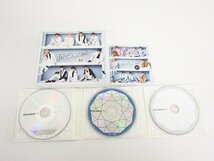 スノーマン Snow Man Snow Mania S1 初回盤A 2CD＋Blu-ray ＆ Snow Mania S1 初回盤B CD＋Blu-ray 2点 セット ☆3379_画像7