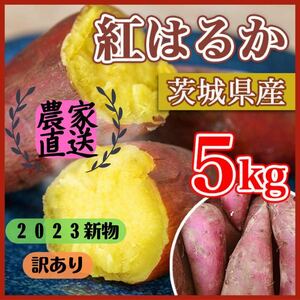 新物 農家直送 5kg さつまいも 紅はるか 茨城県産 訳あり品 