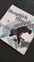 2003年当時物!!ドロップキック・マーフィーズ 4thアルバム「ブラックアウト」非売品ステッカー1枚//Punk ROCK パンクロック_画像1