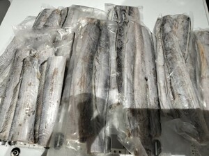 タチウオ 太刀魚 鮮度抜群 2580g（頭尾・内蔵除去）