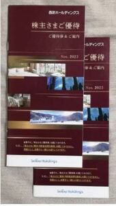 【送料無料】西武ホールディングス 株主優待券 冊子（1000株） 2冊セット 1000円共通割引券 20枚 2024年5月末