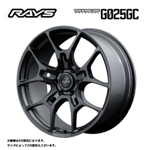 送料無料 レイズ VOLK RACING G025GC 9J-22 +45 5H-114.3 (22インチ) 5H114.3 9J+45【2本セット 新品】