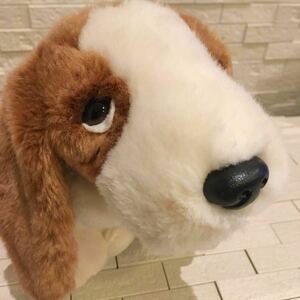 ty soft toy basset hound dog BEANIE Buddies Collection Beagle 