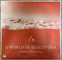 JAL One World of Beauty 2024年カレンダー_画像10