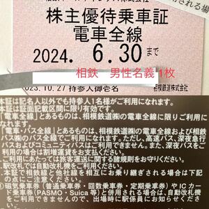 相鉄株主優待乗車証　1枚 相模鉄道　送料込　男性名義 