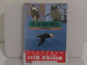 SU-16302 北海道の野鳥 北海道新聞社 北海道新聞社 本 帯付き