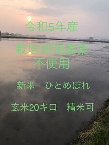 新米　令和5年産　宮城県産　ひとめぼれ　玄米20Kg 栽培期間中農薬不使用　精米可