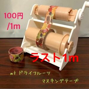 【おまとめ100円】mt ドライフルーツ 1m【切り売り】