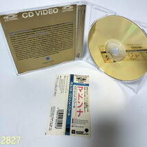 CD Madonna/マドンナ Papa Don't Preach/パパ・ドント・プリーチ 管:2824 [0]_画像4