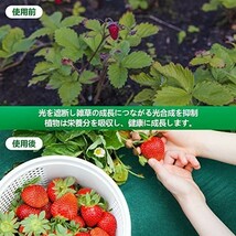 【新品送料無料】XiaZ 防草シート 高耐久性不織布100g/m2 雑草防止シート 高透水性 除草シート 紫外線劣化防止 厚手ぼうそうしーと_画像4