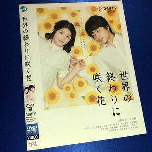 【即決価格・ディスクのクリーニング済み】世界の終わりに咲く花 DVD☆川島海荷 中村蒼 《棚番543》