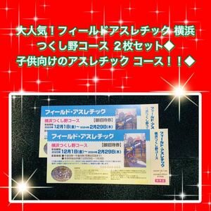 ◆即決！ミニレター便　送料込み◆大人気！フィールドアスレチック 横浜つくし野コース ２枚セット◆ 子供向けのアスレチック コース