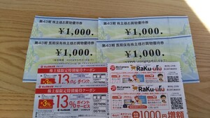 ビックカメラ 優待 4000円分