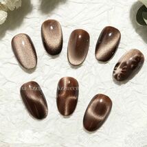 mocha Coffee cat eye magnet gel ◇マグネットジェルネイル◇_画像3