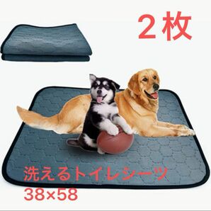 ペット 防水 洗える ペットシーツ 38×58cm トイレシーツ 吸水マット 吸水