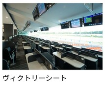 12/29東京大賞典 ヴィクトリーシート2枚連番（ペア席）指定席 大井競馬場_画像1