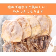 焼き剣先 いか スルメ おつまみ 珍味 2袋 70g×2 ケンサキイカ 焼剣先 けんさき イカ_画像4