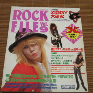 ROCK FILE Vol.6・7・8・9 日本ロック年表/バンドやろうぜ/ロッカーズファイル/X YOSHIKI復活第一声/X 武道館で復活/ZIGGY/レピッシュ/の画像5