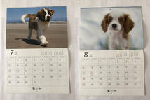 未使用★ソニー生命　ゆかいな子犬たち　２０２4年カレンダー　壁掛けタイプ_画像8