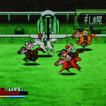 MVS　ステークスウイナー　SNK　NEOGEO　ROM　動作確認済み_画像9