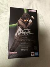 S.H.Figuarts 秋月信彦(仮面ライダーBLACK SUN) 本体のみ　プレミアムバンダイ　SHADOWMOON シャドームーン_画像2