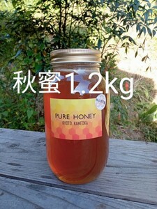 国産 純粋 蜂蜜 はちみつ 1.2kg　秋蜜　京都産