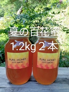 国産 純粋 蜂蜜 生はちみつ 1.2kg　２本　夏蜜