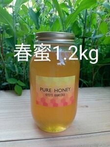 国産 純粋 蜂蜜 はちみつ 1.2kg　春蜜