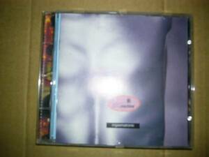 The Transcendental Love Machine Orgasmatronic Hydrogen Dukebox 輸入盤 ケース破損 送料185円