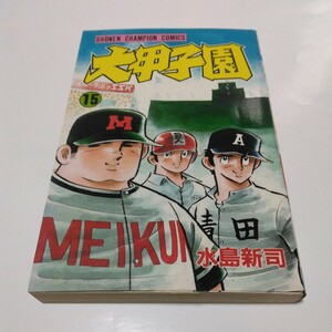 水島新司　大甲子園　15巻（初版本）少年チャンピオンコミックス　秋田書店　当時品　保管品