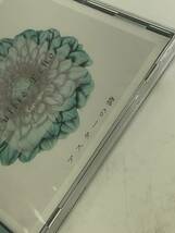 【未開封品】CD Yullie-Echo（ユーリーエコー）　アスターの詩　_画像5