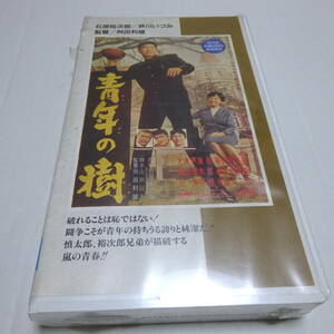 未開封/VHSビデオ「青年の樹」舛田利雄(監督)/石原裕次郎/芦川いづみ