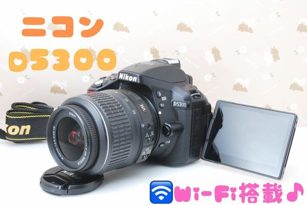 美品★Wi-Fi搭載★Nikon D5300★スマホ転送♪高性能デジタル一眼レフカメラ♪お出かけやご旅行に